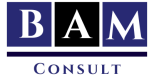 BAM Consult